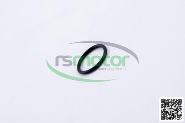O-seal MWM RS-01153869 - Image 6