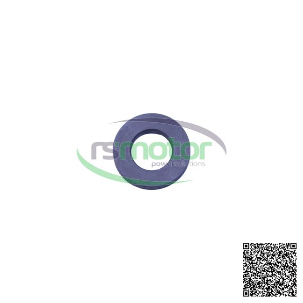 Plain Washer MWM RS-01154439
