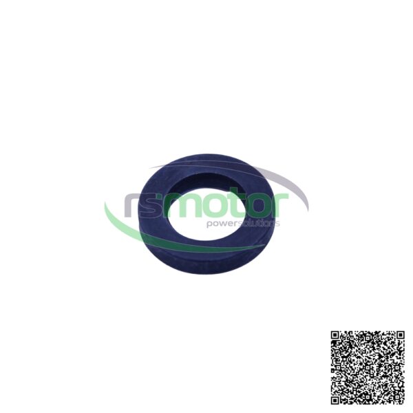 Plain Washer MWM RS-01154442