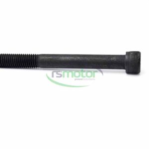 Cylinder Screw MWM RS-01157570