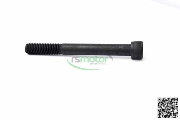 Cylinder Screw MWM RS-01157570
