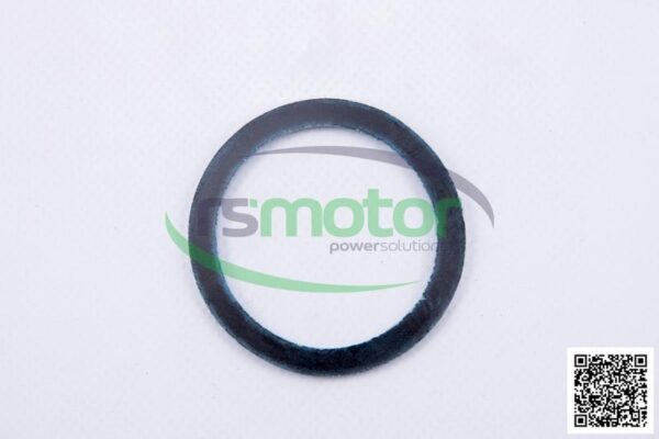 Sealing Ring MWM RS-01157671 - Image 2