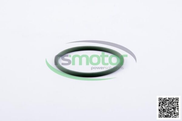 O-Seal MWM RS-01160622 - Image 3