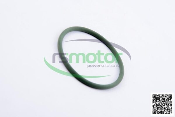 O-Seal MWM RS-01160622 - Image 5