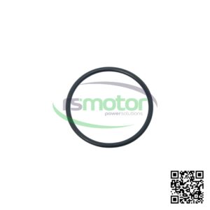 Junta Tórica MWM 01161794 sobre un fondo blanco y con el logo de "RS Motor" en el centro