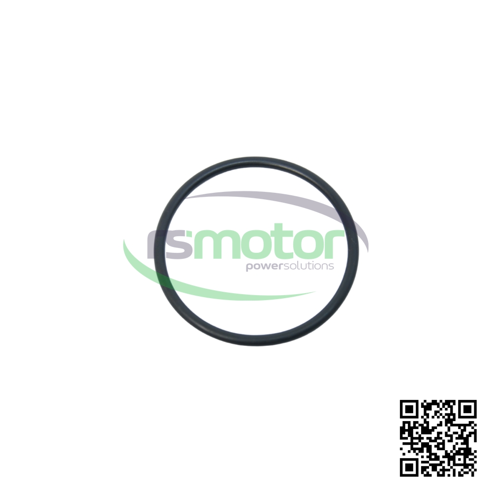Junta Tórica MWM 01161794 sobre un fondo blanco y con el logo de "RS Motor" en el centro