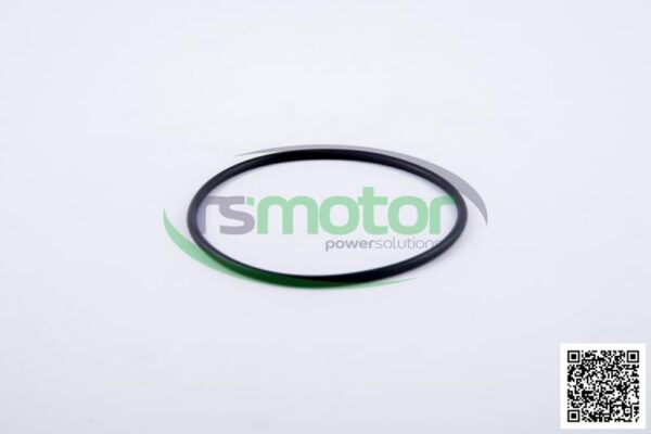 Gasket MWM RS-01166131 - Image 3
