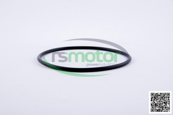 Gasket MWM RS-01166131 - Image 4