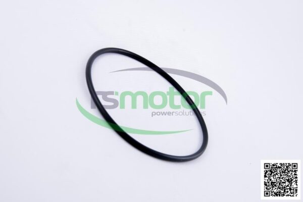 Gasket MWM RS-01166131 - Image 5