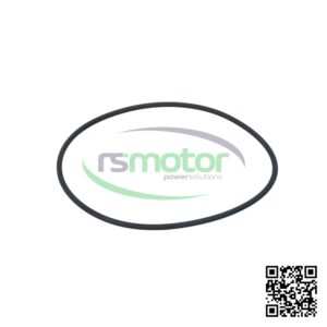Junta Tórica MWM 01166195 sobre un fondo blanco y con el logo de "RS Motor" en el centro