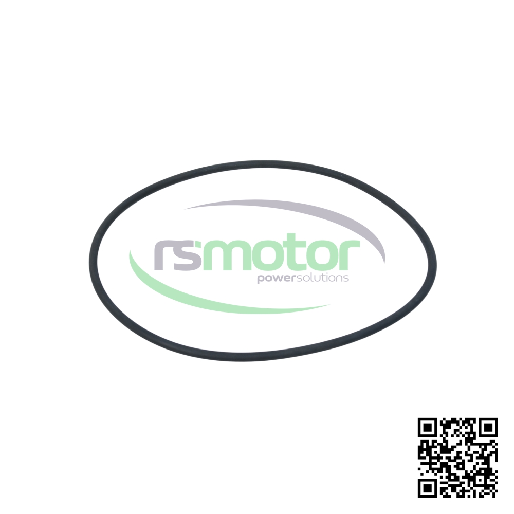 Junta Tórica MWM 01166195 sobre un fondo blanco y con el logo de "RS Motor" en el centro