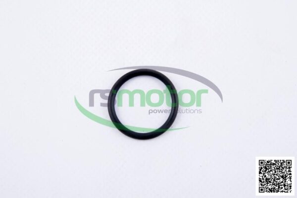 O-seal MWM RS-01167374 - Image 2