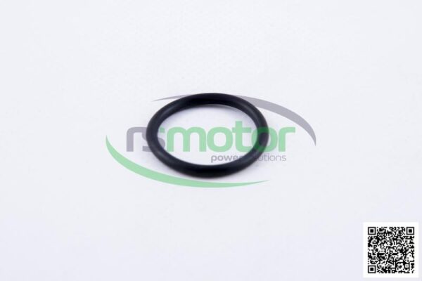 O-seal MWM RS-01167374 - Image 3