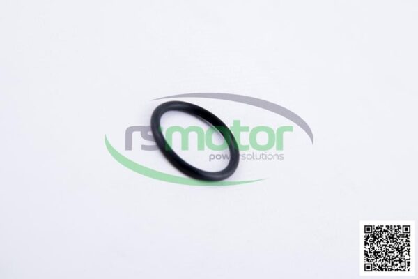 O-seal MWM RS-01167374 - Image 5