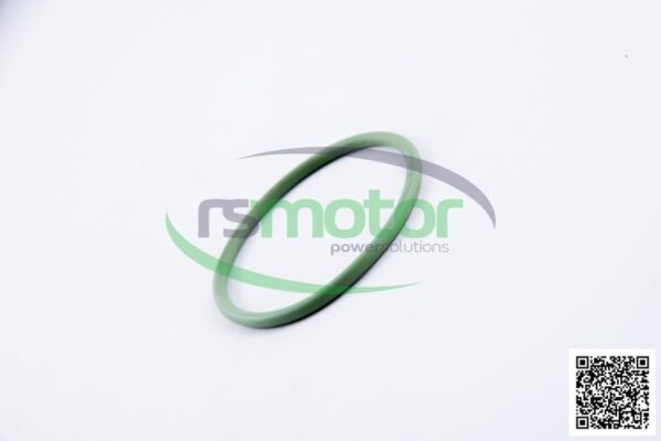 O-seal MWM RS-01167395 - Image 6