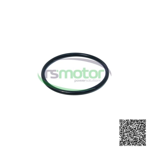 O-Seal MWM RS-01170590 - Image 2