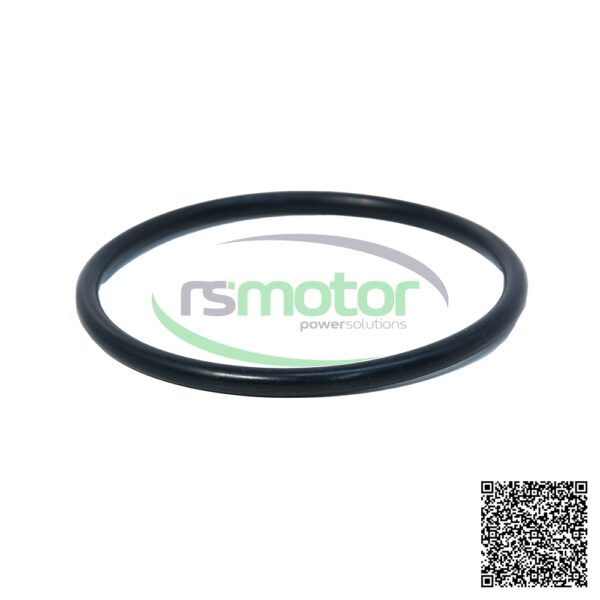 O-Seal MWM RS-01170590