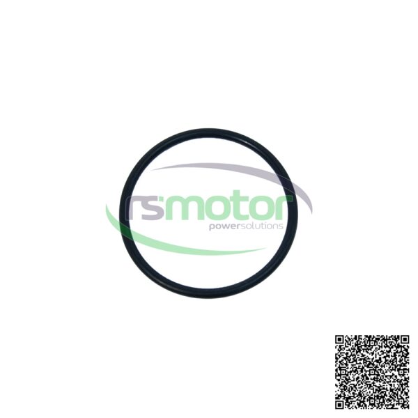 O-Seal MWM RS-01170590 - Image 3