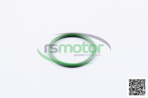 O-seal MWM RS-01171277 - Image 3