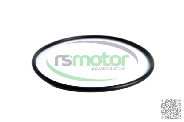 O-seal MWM RS-01171417 - Image 3
