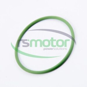 Junta tórica MWM RS-01172126