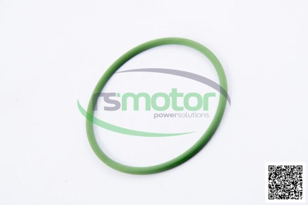 O-seal MWM RS-01172126
