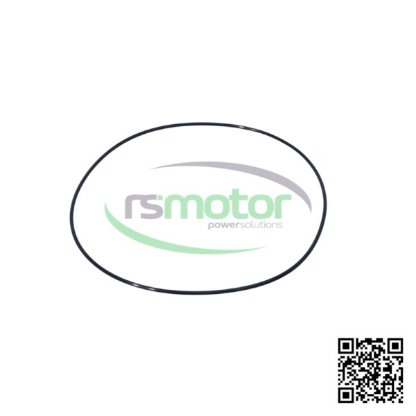 Anillo de Sellado MWM RS-01172592 - obrazek 4