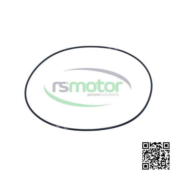 Anillo de Sellado MWM RS-01172592