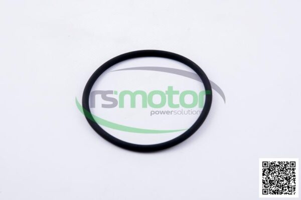 O-seal MWM RS-01173923 - Image 2