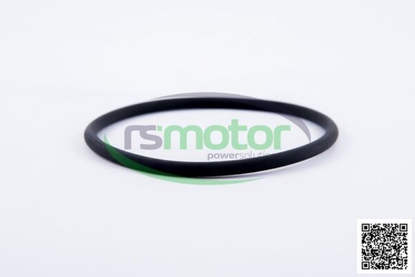 O-seal MWM RS-01173923 - Image 4