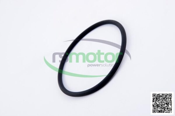 O-seal MWM RS-01173923 - Image 6