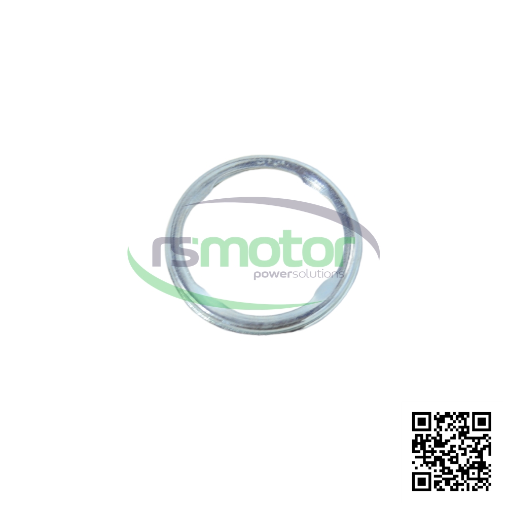Anillo de Sellado MWM RS 01174200 Sobre un fondo blanco con el logo de RS Motor de fondo