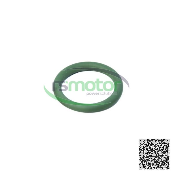 O-Seal MWM RS-01174358 - Image 3