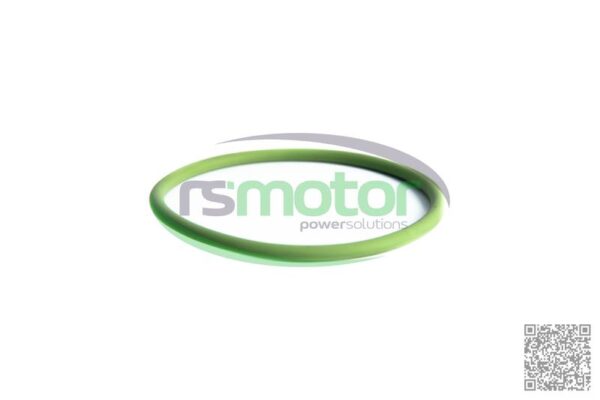 O-Seal MWM RS-01175851 - Image 2