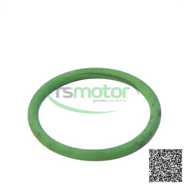 O-Seal MWM RS-01176069 - Image 3