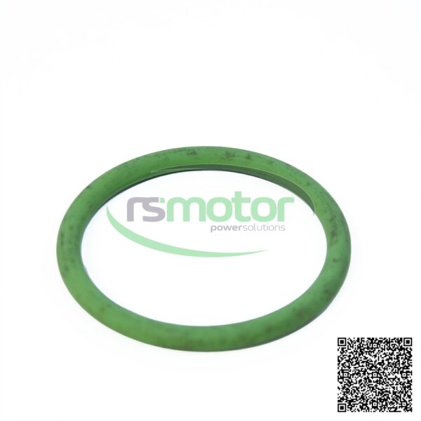 O-Seal MWM RS-01176069 - Image 2