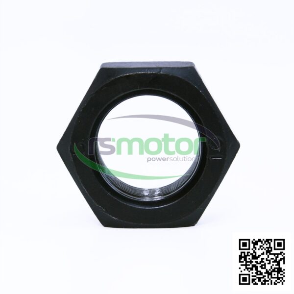 Hexagon Nut MWM RS-01176614 - Image 2