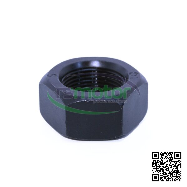 Hexagon Nut MWM RS-01176614 - Image 5
