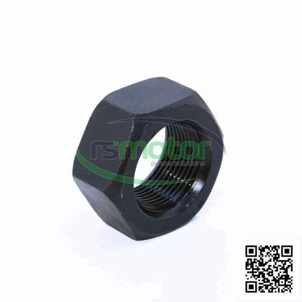 Hexagon Nut MWM RS-01176614 - Image 4