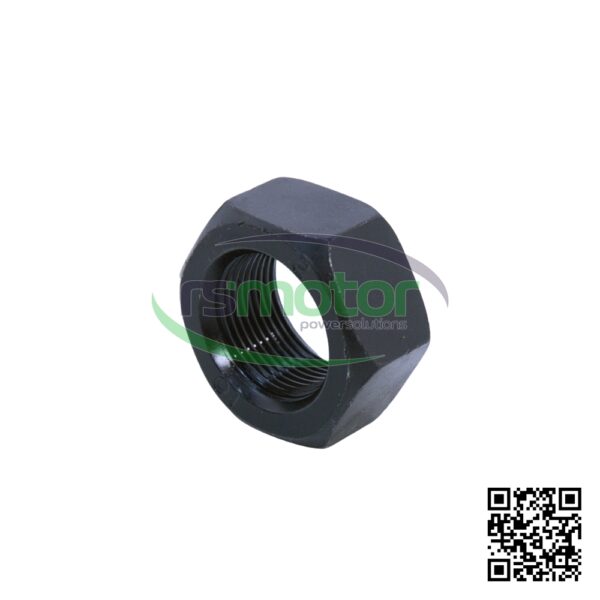 Hexagon Nut MWM RS-01176614 - Image 3