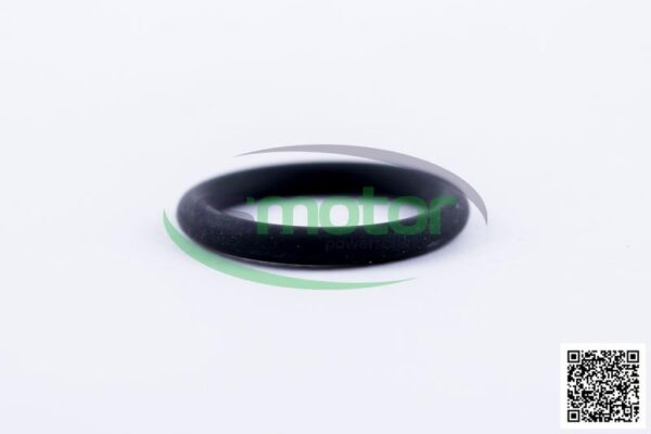 O-seal MWM RS-01176801 - Image 2