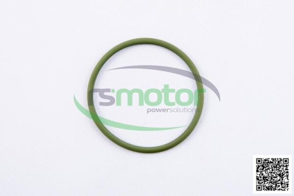 O-Seal MWM RS-01176807 - Image 2