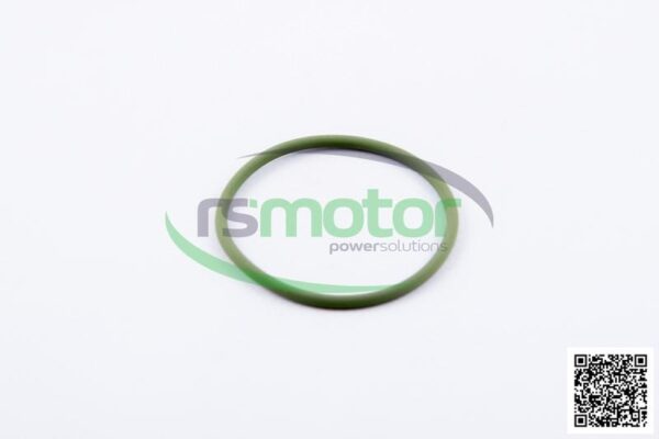 O-Seal MWM RS-01176807 - Image 3