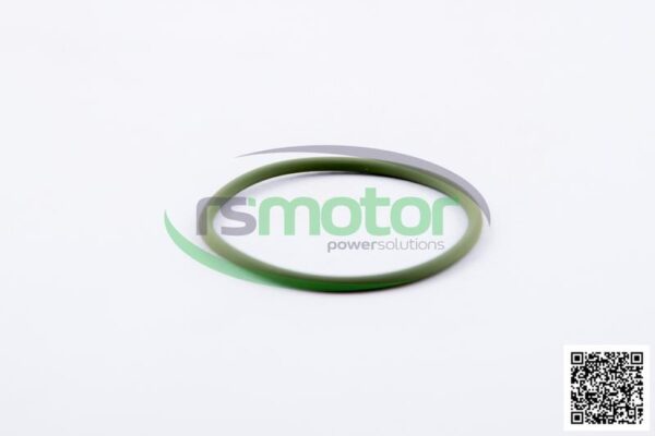 O-Seal MWM RS-01176807 - Image 4
