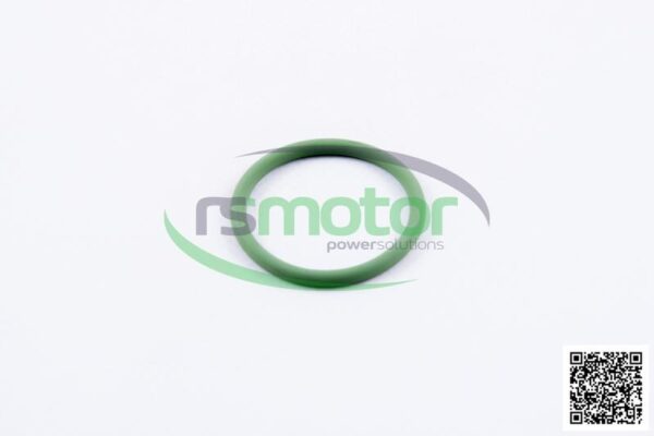 O-Seal MWM RS-01177725 - Image 2