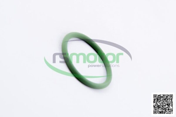 O-Seal MWM RS-01177725 - Image 5