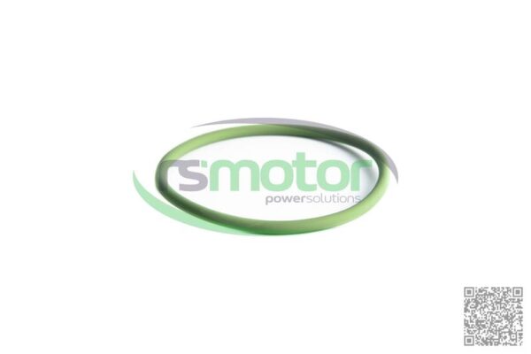 O-seal MWM RS-01177727 - Image 2