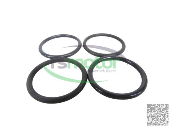 O-seal MWM RS-01178326 - Image 2