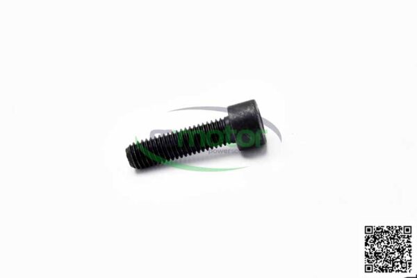 Cylinder Screw MWM RS-01178700