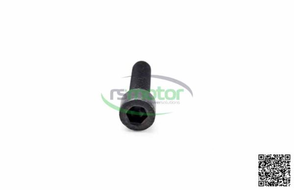 Cylinder Screw MWM RS-01178700 - Image 3